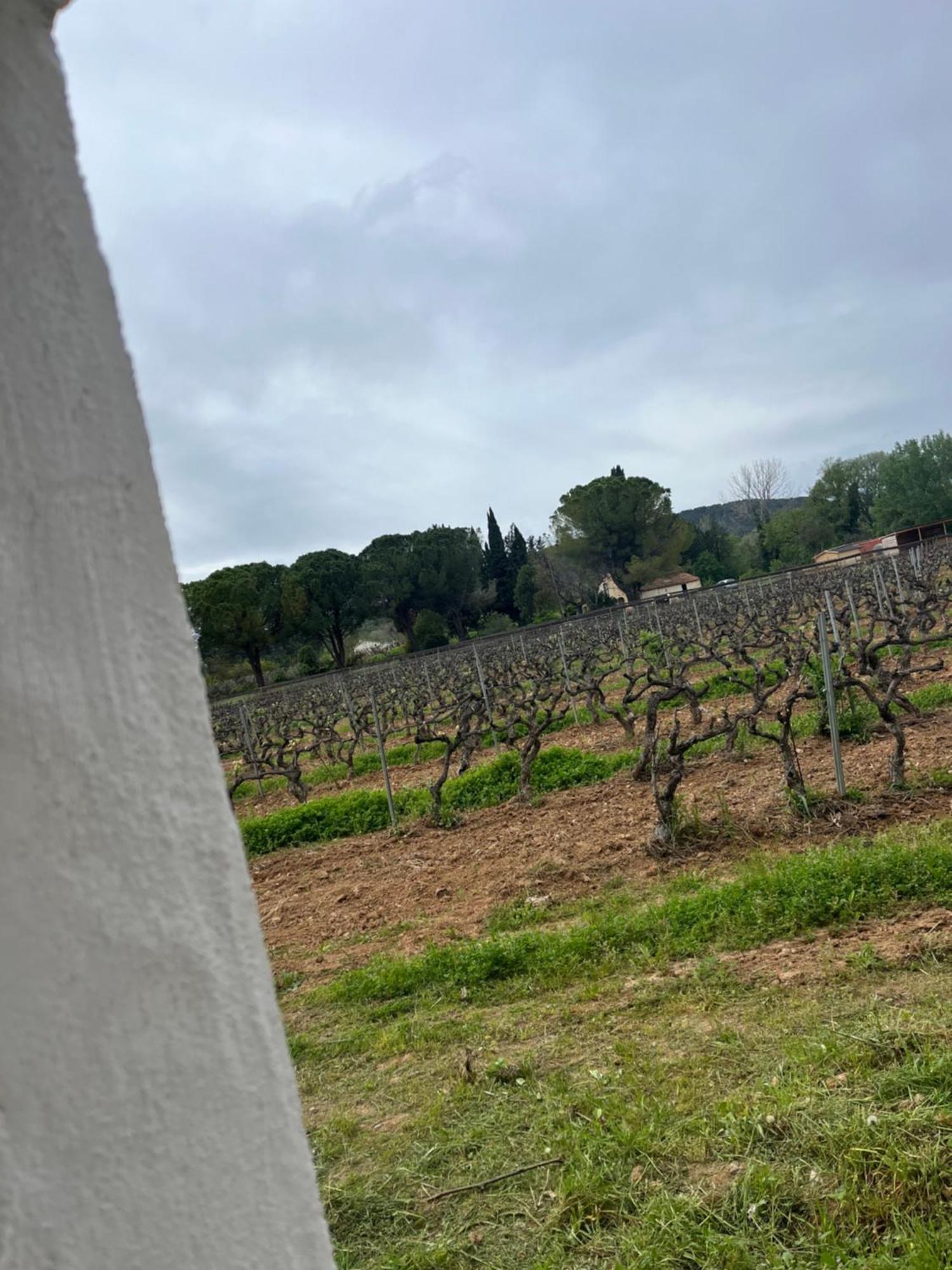 Appartement Avec Piscine Au Milieu Des Vignes Les Arcs-sur-Argens Экстерьер фото